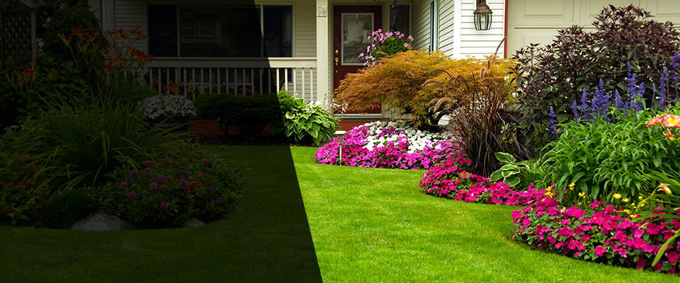 Findlay Landscapers