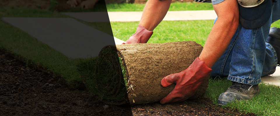 Findlay Landscapers